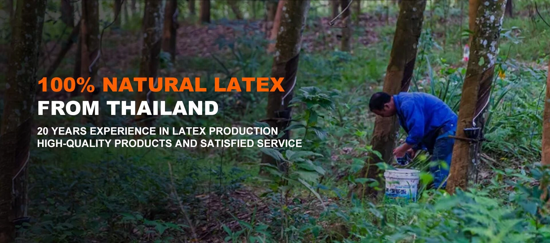 Natuurlijke latex matrasleverancier
